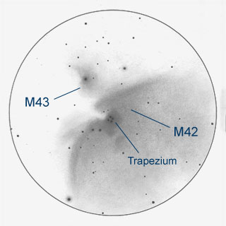 orion nebula sketch - m42, m43